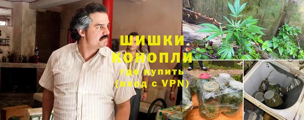 ПСИЛОЦИБИНОВЫЕ ГРИБЫ Алзамай
