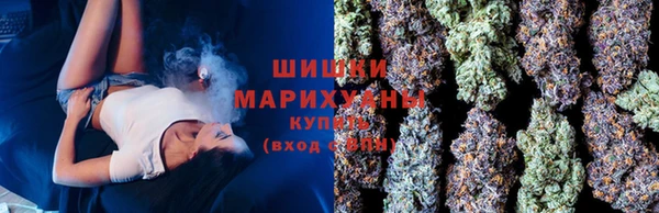 твердый Кодинск